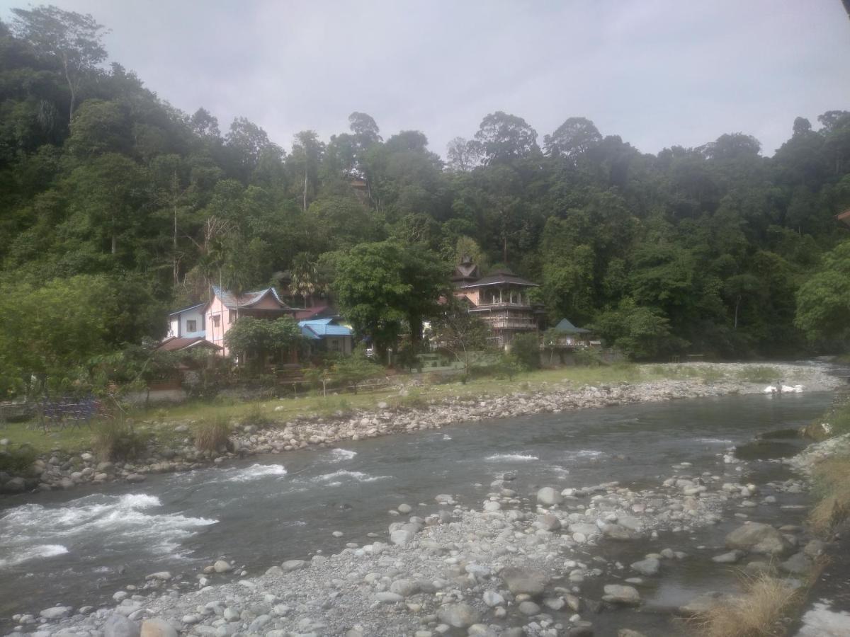 Umiyuki Jungle Tour Only Treking With As Hotel Bukit Lawang Exterior photo